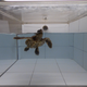 One of the scientists’ turtle subjects
